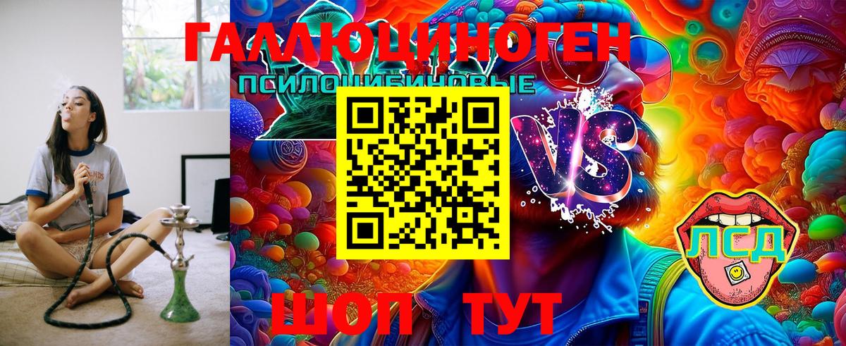 Галлюциногенные грибы Psilocybine cubensis  Вход с VPN  Кинель 
